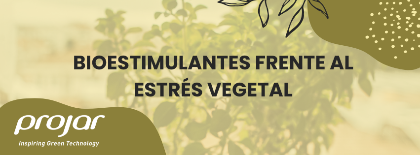 bioestimulantes frente al estrés vegetal