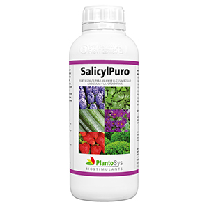 SalicylPuro fertilizante con extracto de corteza de sauce