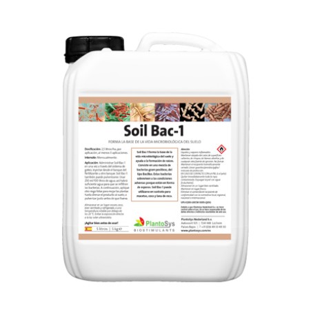Soil bac 1